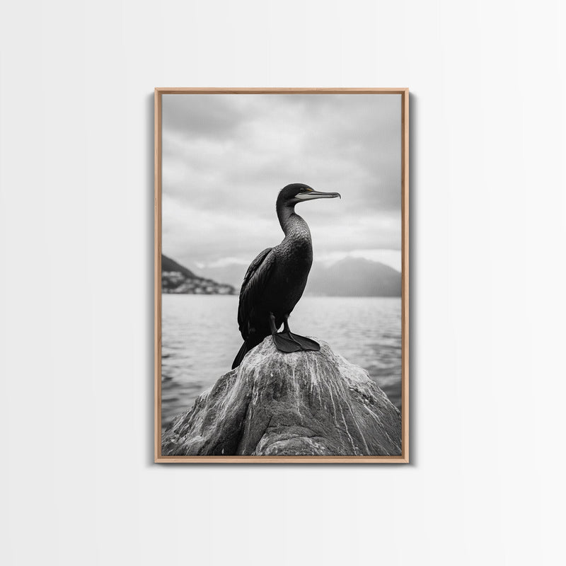 Coastal Bird Portrait