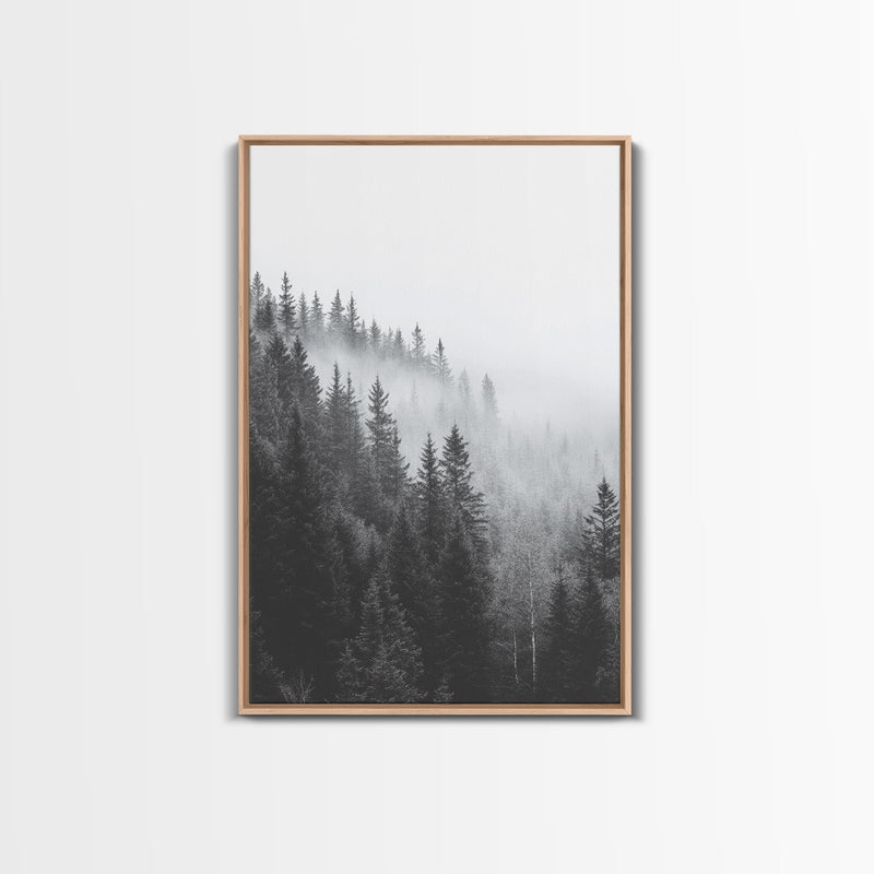 Foggy Morning - Misty Forest Canvas Print