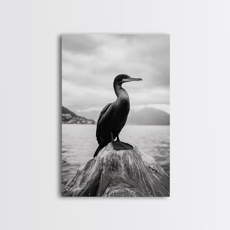 Coastal Bird Portrait