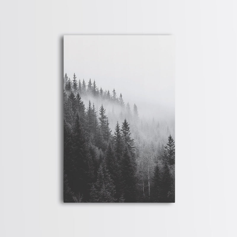 Foggy Morning - Misty Forest Canvas Print