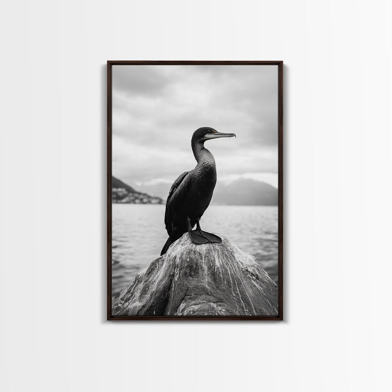 Coastal Bird Portrait