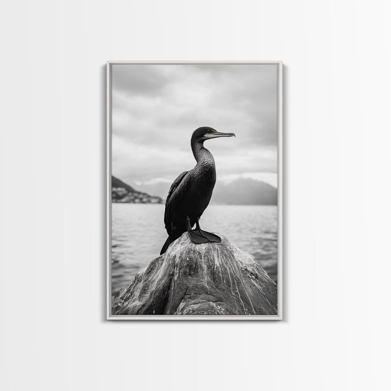 Coastal Bird Portrait