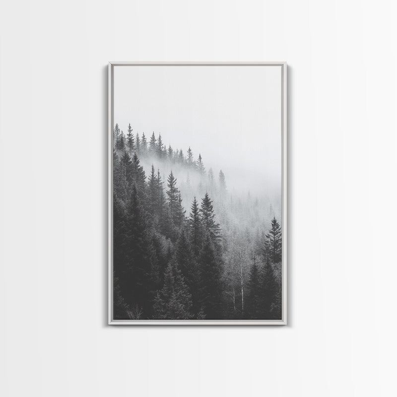 Foggy Morning - Misty Forest Canvas Print