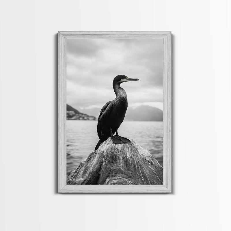 Coastal Bird Portrait