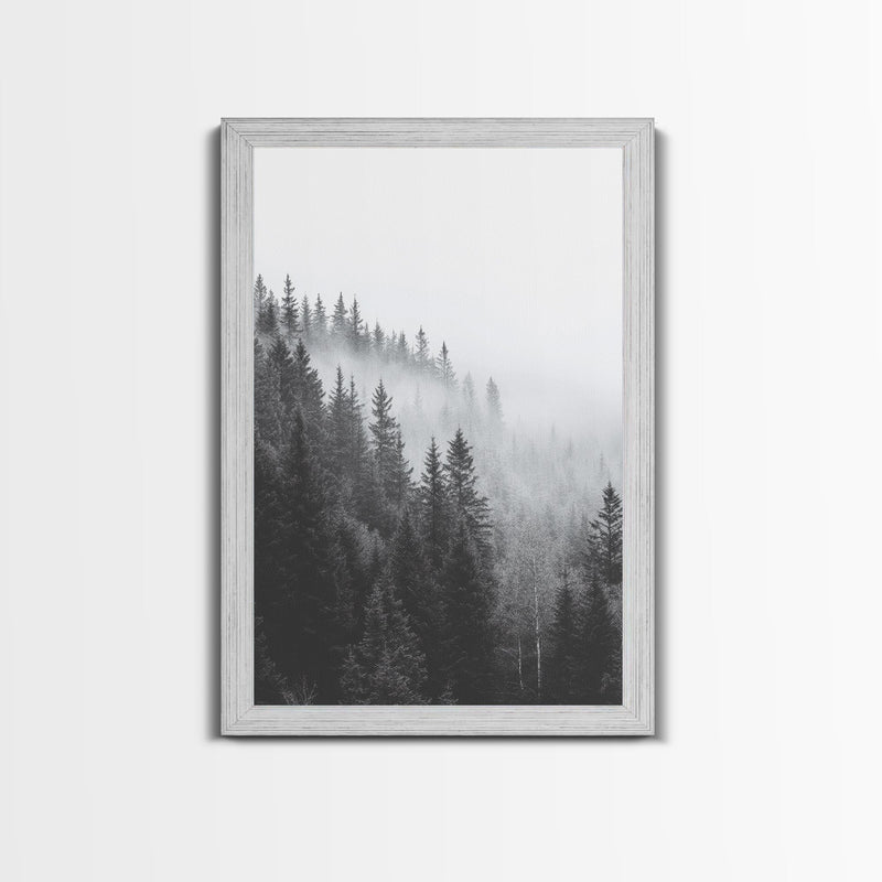Foggy Morning - Misty Forest Canvas Print