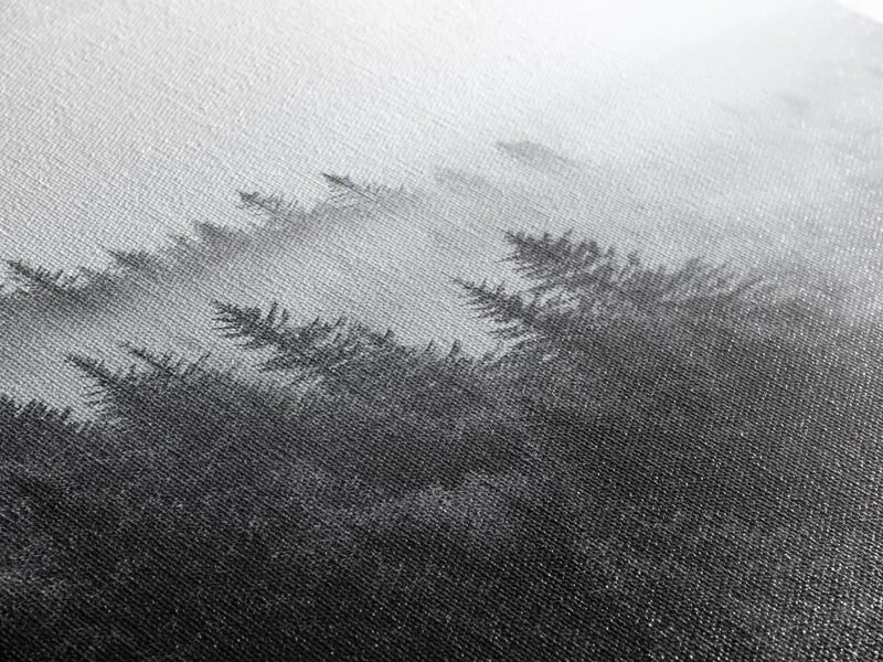 Foggy Morning - Misty Forest Canvas Print