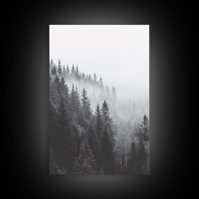 Foggy Morning - Misty Forest Canvas Print