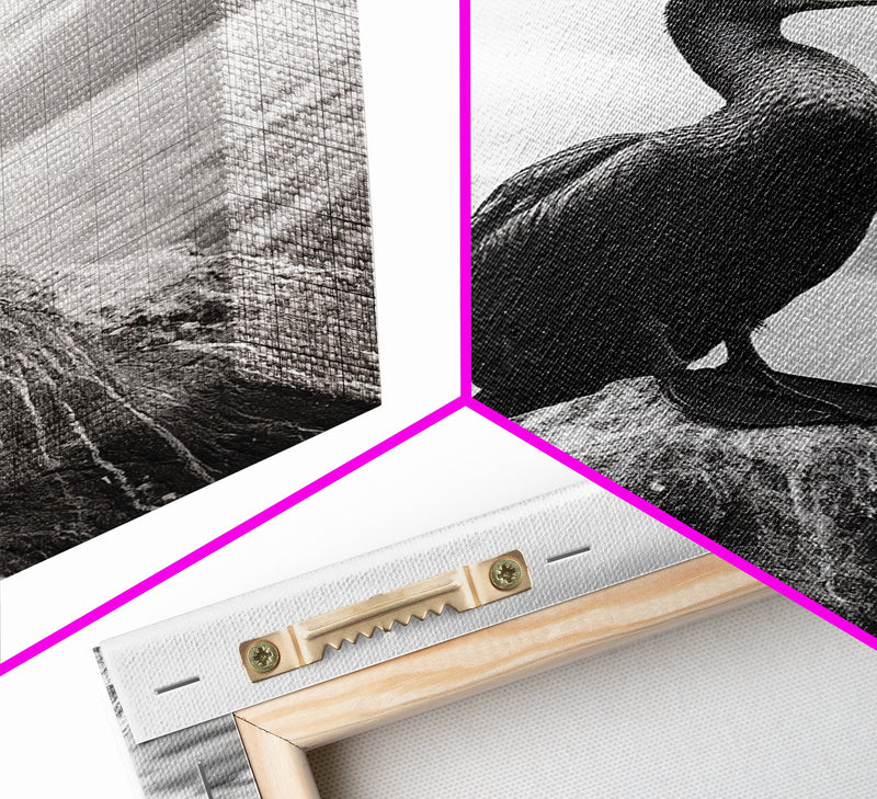 Coastal Bird Portrait