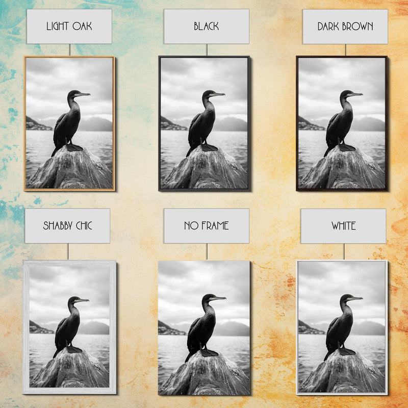 Coastal Bird Portrait